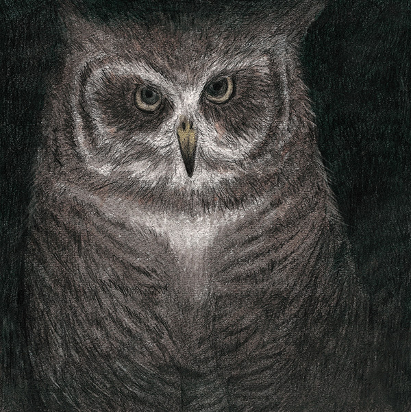 群言堂　根根　フクロウのジャケット メンズ Burton [ak] トゥバック GORE-TEX C-KNIT 3L ジャケット