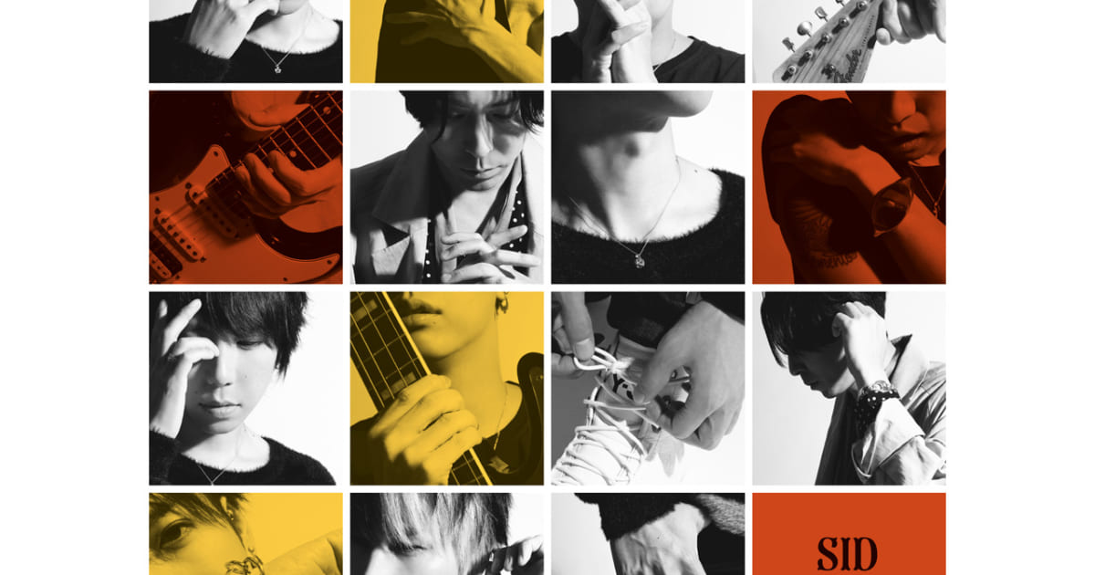 シド シングル アルバム DVD 会報 各 シド シングル アルバム DVD 会報 各