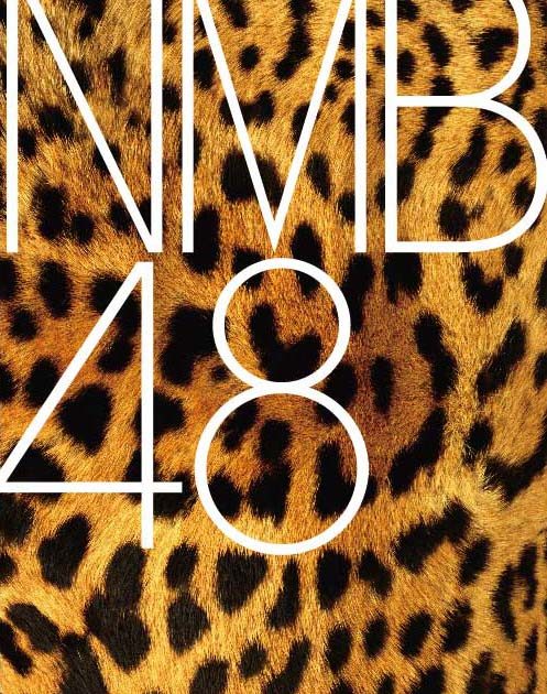 NMB_logo-497x630.jpg