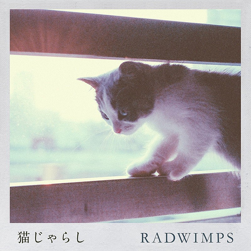 RADWIMPS「猫じゃらし」