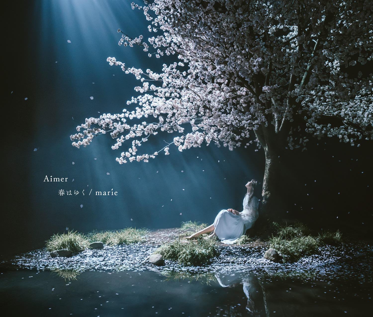 Aimer YouTube Channel登録者数が100万人突破、MV10作品をフルサイズで一挙公開 | Musicman