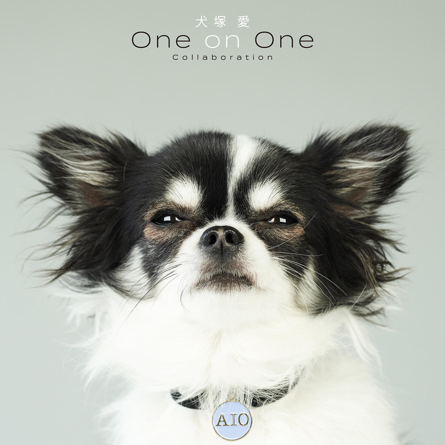 大塚 愛 自身の愛犬がリメイクアルバム 犬塚 愛 One On One Collaboration ジャケ写に満を持して登場 Musicman