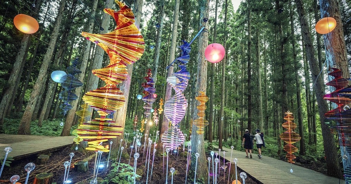 フジロック』開催前の恒例行事、ボードウォーク整備とここだけの体験が