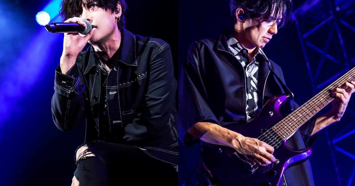 WANDS第5期 FC会報とアーティストカードのセット WANDS第5期 FC会報とアーティストカードのセット WANDS第5期 FC