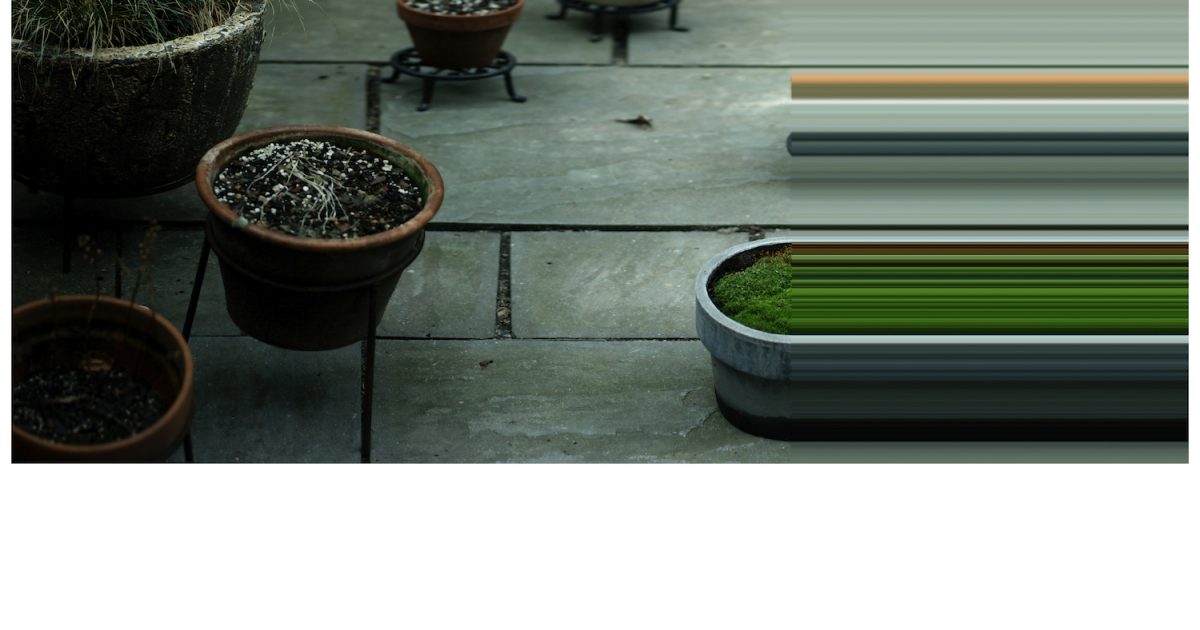 坂本龍一「async – immersion 2023」が本日配信、空間オーディオ