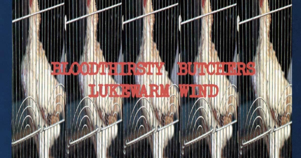 FhA4FFenfsHY6op9RrnXEdcb98UBiz