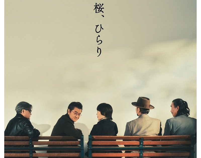 RhwrjM1J0sJlBqP3tCqL9zPKtUrhMM