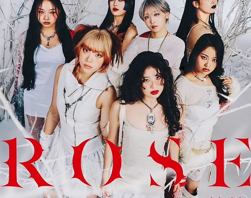 hana出品 ☆花☆ adidas ZX 8000 “Hanami” Pack Celebrates Japan and Germany's