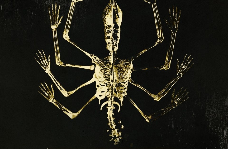 TIVXHmNK0IUUKihKp1E5EqIreAI2SA