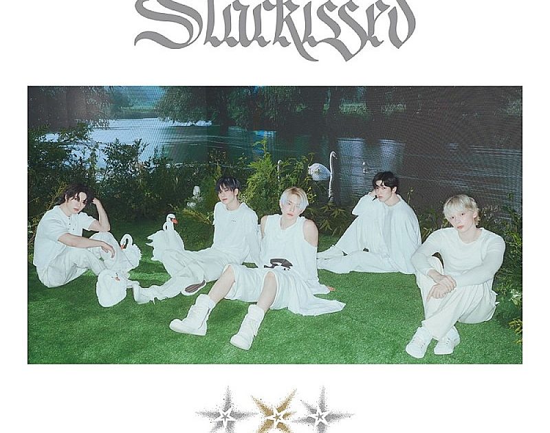 Tomorrow となります。 オートバイリアフェンダープレートマッドガードスプラッシュガード