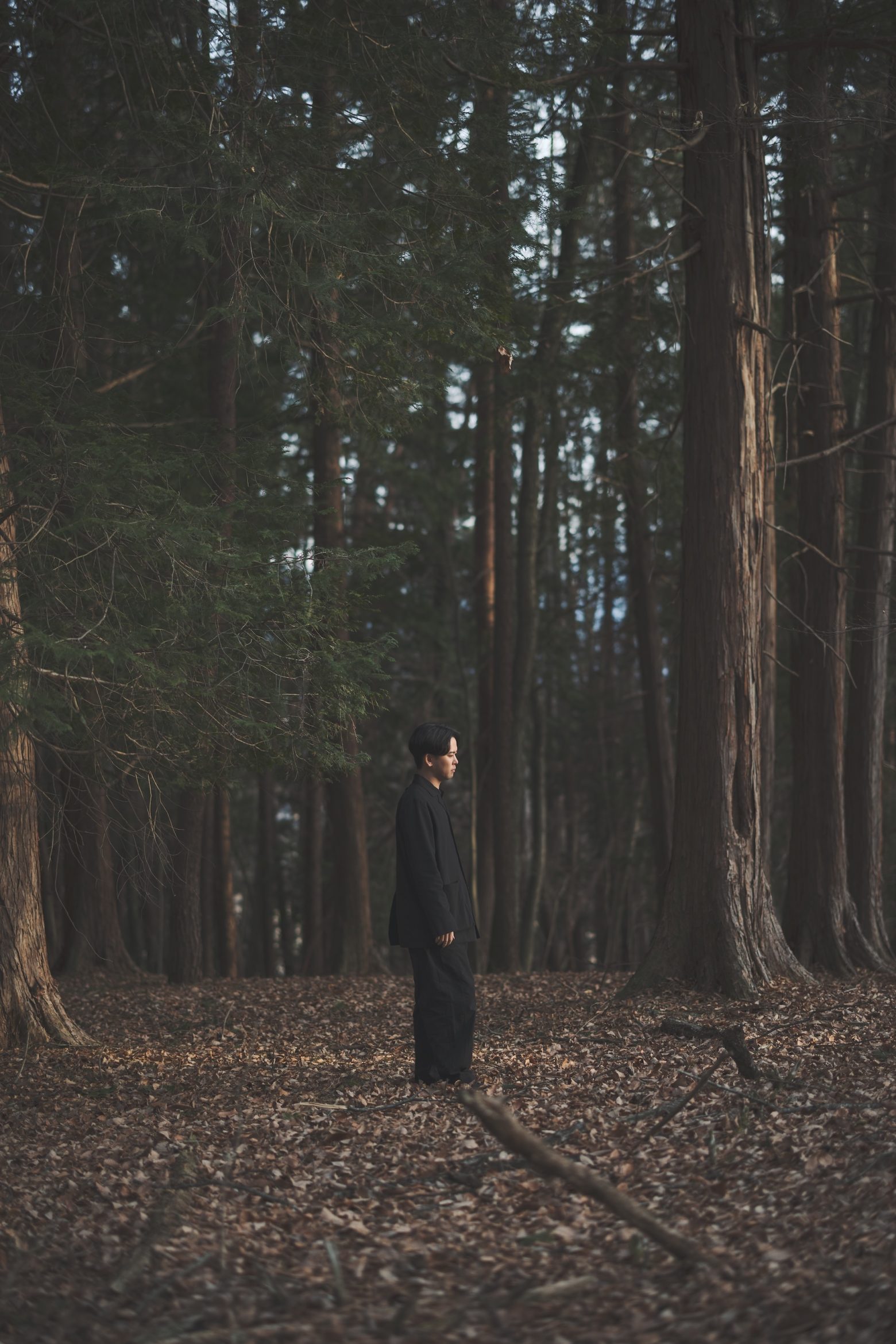 江﨑文武、森の中で収録した2ndアルバムをリリース、47都道府県ツアーも開催中